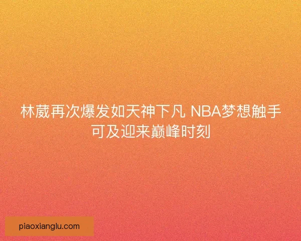 林葳再次爆发如天神下凡 NBA梦想触手可及迎来巅峰时刻